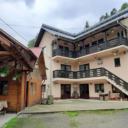 Hotel Lip Si Ely Dîmbovicioara Exterior foto