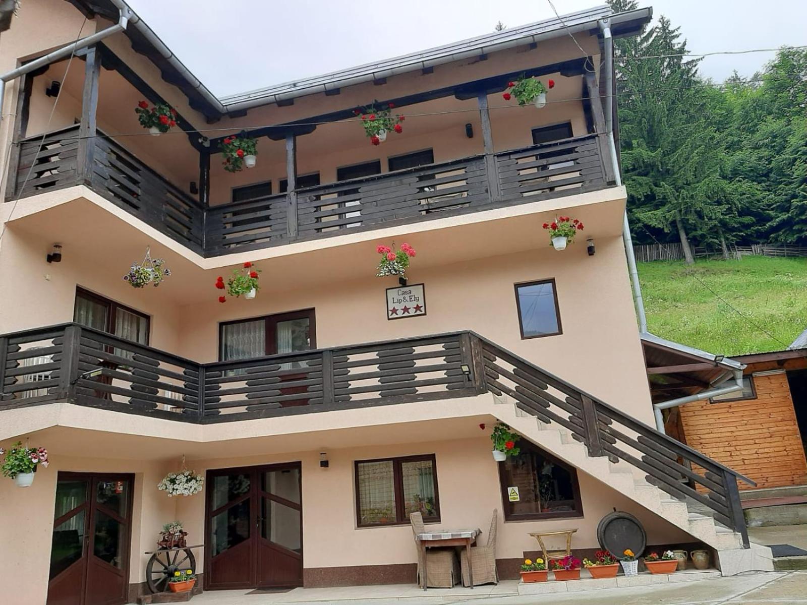 Hotel Lip Si Ely Dîmbovicioara Exterior foto